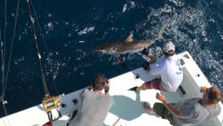 One person fishing in California
