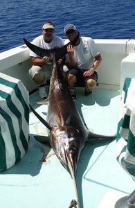 Swordfish caught in San Diego