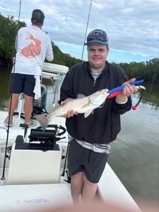 Redfish caught by angler in Everglades City