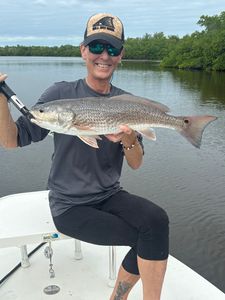 Redfish caught in Everglades City