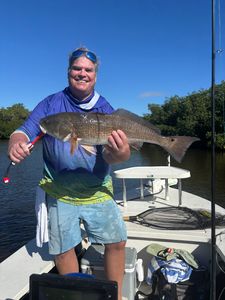 Redfish catch in Everglades City