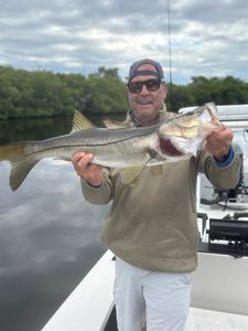 Snook fish caught in FL