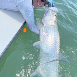 Angler caught one fish while fishing in FL