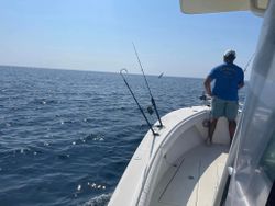 Breathtaking landscape of Barnegat Light