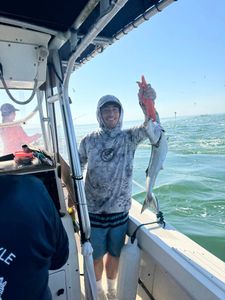One person fishing in Barnegat Light