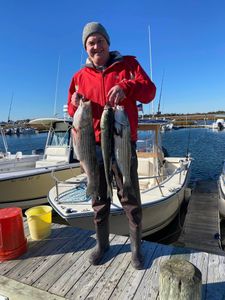 Two wiper and striped bass fish caught in NJ