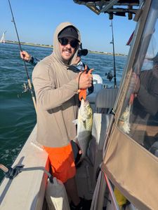 A bluefish measuring 17 inches, caught while fishing in NJ