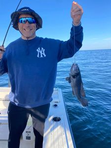 A single sea bass caught while fishing in Barnegat Light