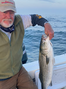 Striped bass caught at Barnegat Light