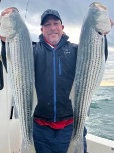 Two striped bass caught fishing at Barnegat Light