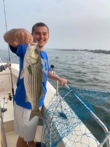 Striped bass caught in NJ