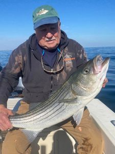 Striped bass caught during fishing trip in NJ