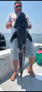 Fish-Species