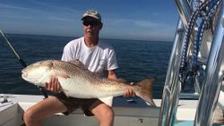 Large Red Drum in Virginia