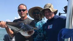Finest Cobia Fishing Charter in Virginia