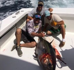 3 anglers posing with their catch in Williamsburg