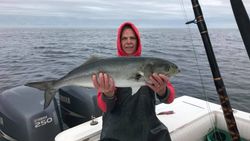 Bluefish fishing in Williamsburg