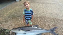 One person fishing in Virginia