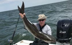 King Mackerel, a 22-inch fish, caught while fishing in Williamsburg