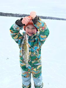 Maine Fishing, All smiles with his first pike!