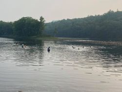 Scenic view of Sidney harbor