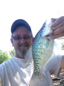 Nice Crappie Fishing in Arkansas