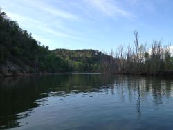 Nature is amazing out here in Beaver Lake!