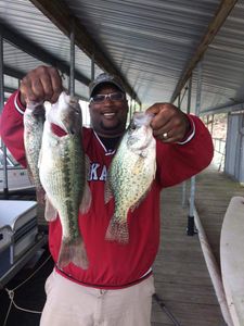 Beaver Lake Top Crappie Fishing Charters