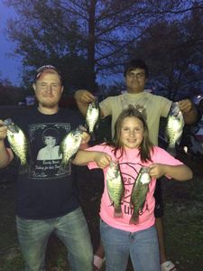 Family-Friendly Crappie Fishing in Beaver Lake