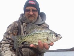 A white crappie fish caught in Morrilton