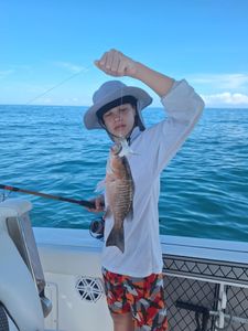 Fish-Species