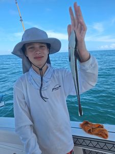 Fish-Species
