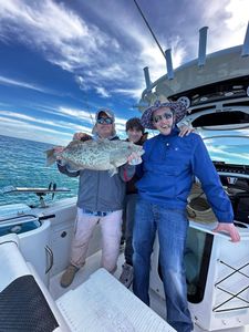 Solid offshore grouper catch with the crew.