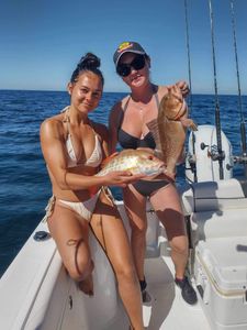 Two anglers fishing in Sarasota