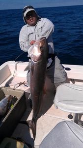 A lone angler fishing in the waters of Florida