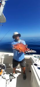 Angler fishing in Sarasota, Florida