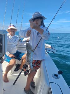 Gag Grouper fishing in FL