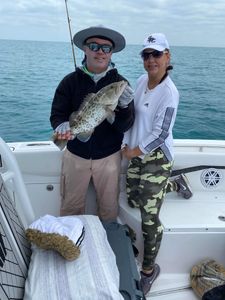 Gag grouper fishing in Sarasota, Florida