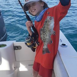 Gag Grouper caught while fishing in Sarasota