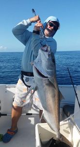 Photograph of a greater amberjack, a large saltwater fish, caught during a fishing tour in Sarasota.