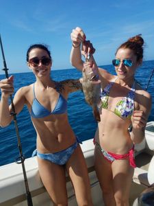 A red grouper fish caught during fishing tour in FL