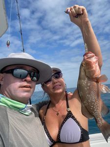 Red Grouper fishing in FL