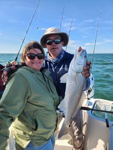 A redfish, a 21-inch fish, caught in Sarasota during a fishing tour