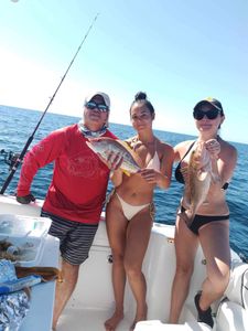 Three people fishing in Sarasota
