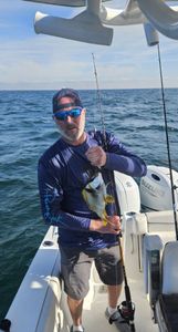 Porkfish caught on fishing charter in Sarasota FL waters
