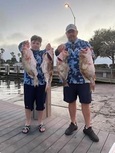 A group of 4 big fish caught while fishing in FL
