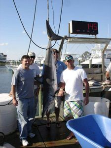 Deep sea fishing in Key west, Fl