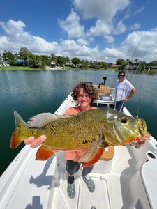 Peacock Bass Fishing in Marathon, Florida