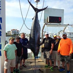 Atlantic Blue Marlin Fishing in Marathon, Florida