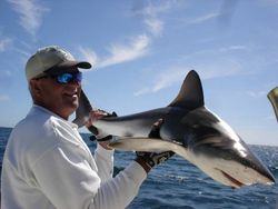 A caught Atlantic Sharpnose Shark, a 19-inch fish, in FL